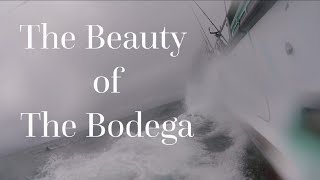 The Beauty of Bodega amp Heading Out to Sea Part 2Our Salmon Fishing Adventure [upl. by Hafeenah]