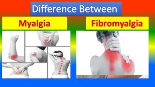 Distinction between Myalgia and Fibromyalgia [upl. by Zilevi698]