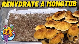 How To Rehydrate Your Monotub For More Flushes  Uncle Bens Tek My First Time [upl. by Barrett]