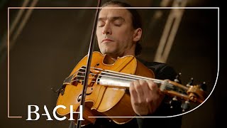 Bach  Cello Suite no 6 in D major BWV 1012  Malov  Netherlands Bach Society [upl. by Essined]