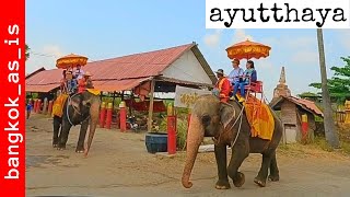 ayutthaya day walk  the floating market area  2024 [upl. by Almap]