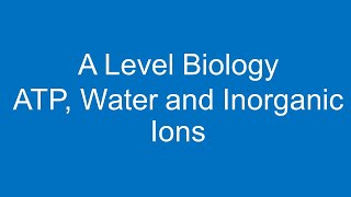 A level Biology ATP Water and Inorganic Ions [upl. by Conan591]