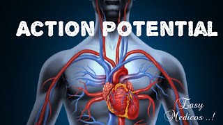 Cardiac Action potential in malayalam [upl. by Aiuqal]