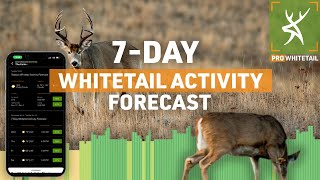 15Day Whitetail Activity Forecast  HuntStand Pro Whitetail [upl. by Rand60]