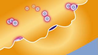 Comment agissent les inhibiteurs de la pompe a protons IPP [upl. by Cliff467]