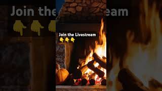 Cozy Fireplace ASMR Ambience ❤️‍🔥 NO ADS [upl. by Bendick533]