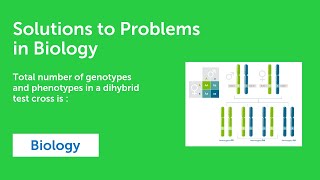 Answer to question Total number of genotypes and phenotypes in a dihybrid test cross is [upl. by Naneek724]