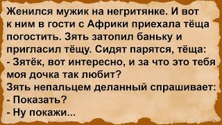 Про зятя и тёщу с Африки Сборник анекдотов [upl. by Ayisan]