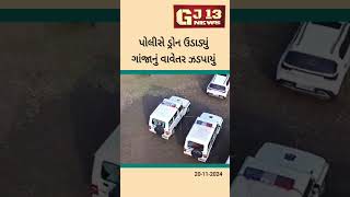 Surendranagar police red  ડ્રોન ઉડાવી ગાંજા નું વાવેતર ઝડપ્યું [upl. by Euphemiah]