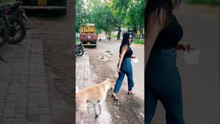 Diwali inke saath♥️♥️ viralvideo diwali diwalivibes doglover [upl. by Aihsilat]