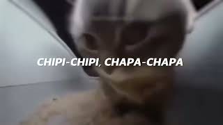 chipi chipi chapa chapa dubi dubi daba daba Christell  Dubidubidu LETRA [upl. by Yraunaj]