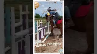 Horse Fails of the Year – You Won’t Believe These Falls 🐎🤣 [upl. by Eizus856]