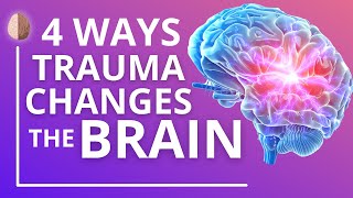 How Trauma and PTSD Change the Brain [upl. by Crockett]