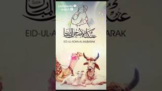 EIDULADHA MUBARAKshortvideo youtubeshorts [upl. by Acinorej]