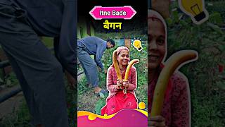 ITNE BADE BAIGAN MILE 😱 vlog  119 shorts trending viralvideo minivlog [upl. by Aniteb226]