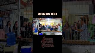 Agnus Dei short video [upl. by Reemas]