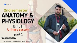 BSN KMU 2ND SEMESTER AampP II UNIT 2 URINARY SYSTEM PART 1 [upl. by Jezabel]