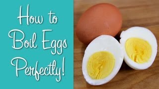 How To Boil Eggs  Perfect Hard Boiled Eggs  Hilah Cooking [upl. by Eilrac]