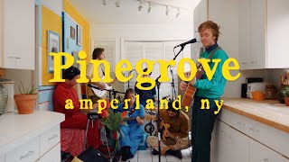 Pinegrove  quotAmperland NYquot  The Movie [upl. by Atteloj825]