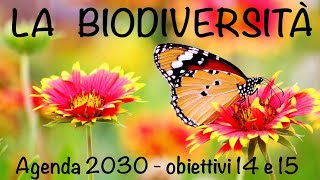 La biodiversità e l’Agenda 2030  obiettivo 14 e 15  Educazione Civica [upl. by Sargent664]