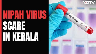 Kerala Health Ministry Issues Alert For Nipah Virus In Kozhikode [upl. by Ehcsrop127]