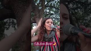 E La🌙 bussó con jazz 🎷e cicale❤️elalunabusso loredanabertè musica musicaitaliana acousticcover [upl. by Annoel155]