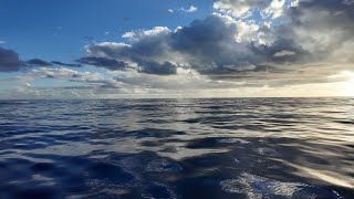 👩‍🚀 NEWS DU BORD  Jour 5 sur le Vendée Globe 🌍 [upl. by Hurleigh]