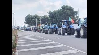 Manifestazione Agricoltori Lucani [upl. by Ainot]