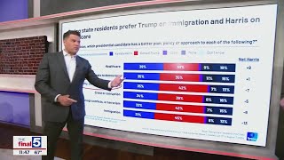 New polling shows voters vibes on Harris Trump and the issues [upl. by Niliak]