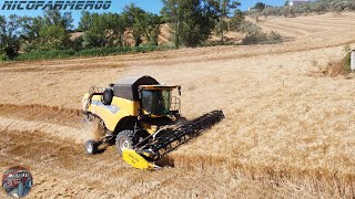 STARTING HARVEST SEASON 2k23  NEW HOLLAND CX590 Hillside  CRESSONI CRX 6 m  Flli Bucci [upl. by Ardussi73]