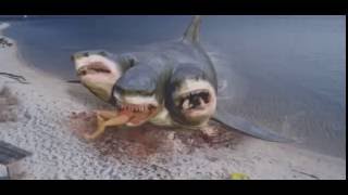 3 Headed Shark Attack VFX By Steve Clarke amp Paul Knott [upl. by Arymahs]