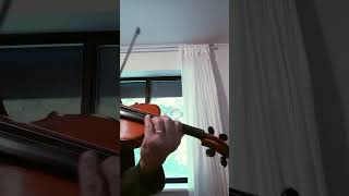 Leclair Violin Sonata No 1 Op 2 III Sarabanda [upl. by Hembree]