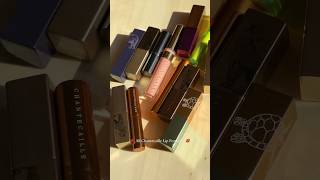 All chantecaille lip formulas compared Lip Chic Lip Veil Lip Sheer Gloss Lip Balm Lip Crystal [upl. by Eibreh]