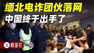 中國終于出手，中緬聯合行動，緬北電詐團伙被逐個剿滅 [upl. by Eah26]