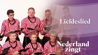 Nederland Zingt Liefdeslied [upl. by Suoirtemed]