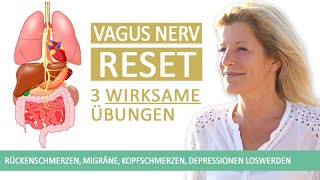 3 Vagus Nerv Reset Übungen gegen Rückenschmerzen Migräne Kopfschmerzen amp Depressionen [upl. by Perce]