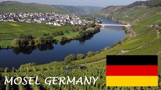 Mosel Wine tourism German Riesling Wine Moselle Valley Germany wines DeutschlandTourismus Travel [upl. by Rednasxela]