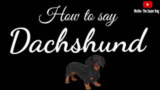 How to pronounce Dachshund  Dog Breed Names [upl. by Ociral670]