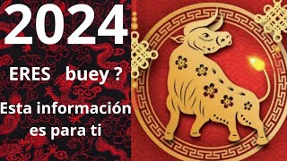 2024 PREDICCIONES PARA EL SIGNO DEL BUEY [upl. by Assirak596]