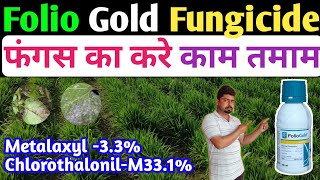 Folio Gold Fungicide।Folio Gold।Syngenta Folio Gold Fungicide।MetalaxylM 33Chlorothalonil 331 [upl. by Dnama]