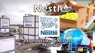 nestlé kurunegala factory  profile [upl. by Airym]