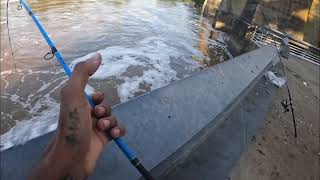 Fishing for catfish at Wateree dam🎣 [upl. by Annahc]