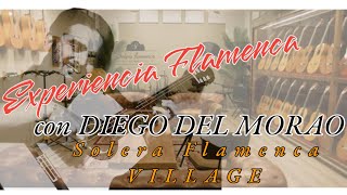 DIEGO DEL MORAO EXPERIENCIA FLAMENCA en Solera Flamenca VILLAGE [upl. by Nikoletta]