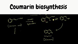 Shikimate pathway part 9  Coumarin biosynthesis [upl. by Orgell]