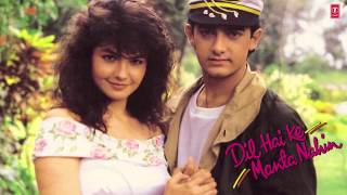 Dil Tujhpe Aa Gaya Full Song Audio  Dil Hai Ke Manta Nahin  Aamir Khan Pooja Bhatt [upl. by Ateuqirne]