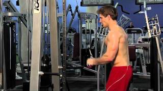 Triceps Pushdown VBar Attachment [upl. by Norven665]