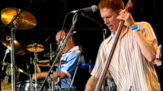 Barenaked Ladies  Call And Answer  Glastonbury 1999 [upl. by Shepley2]