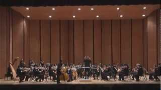 ToYen YU Serge Koussevitzky Doublebass Concerto Op3 [upl. by Aundrea]