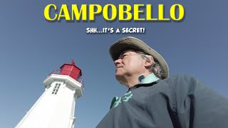 CAMPOBELLO  Secret Birding [upl. by Inacana]