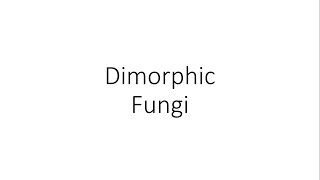 Dimorphic Fungi  Microbiology [upl. by Dael]